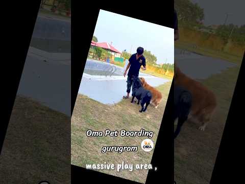 Inside Oma Pet Boarding Gurugram | Indoor & Outdoor Sanctuary Tour 🏨✨